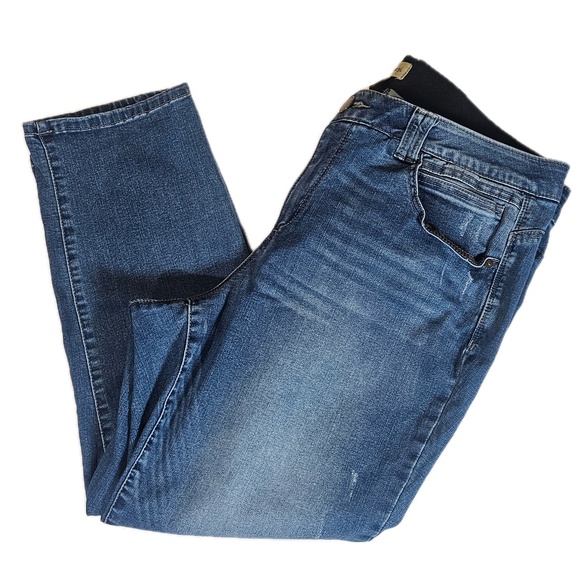 Democracy Jeans Womens 20W Blue Ab Technology Stretch Denim Plus Size Curvy - Picture 1 of 6